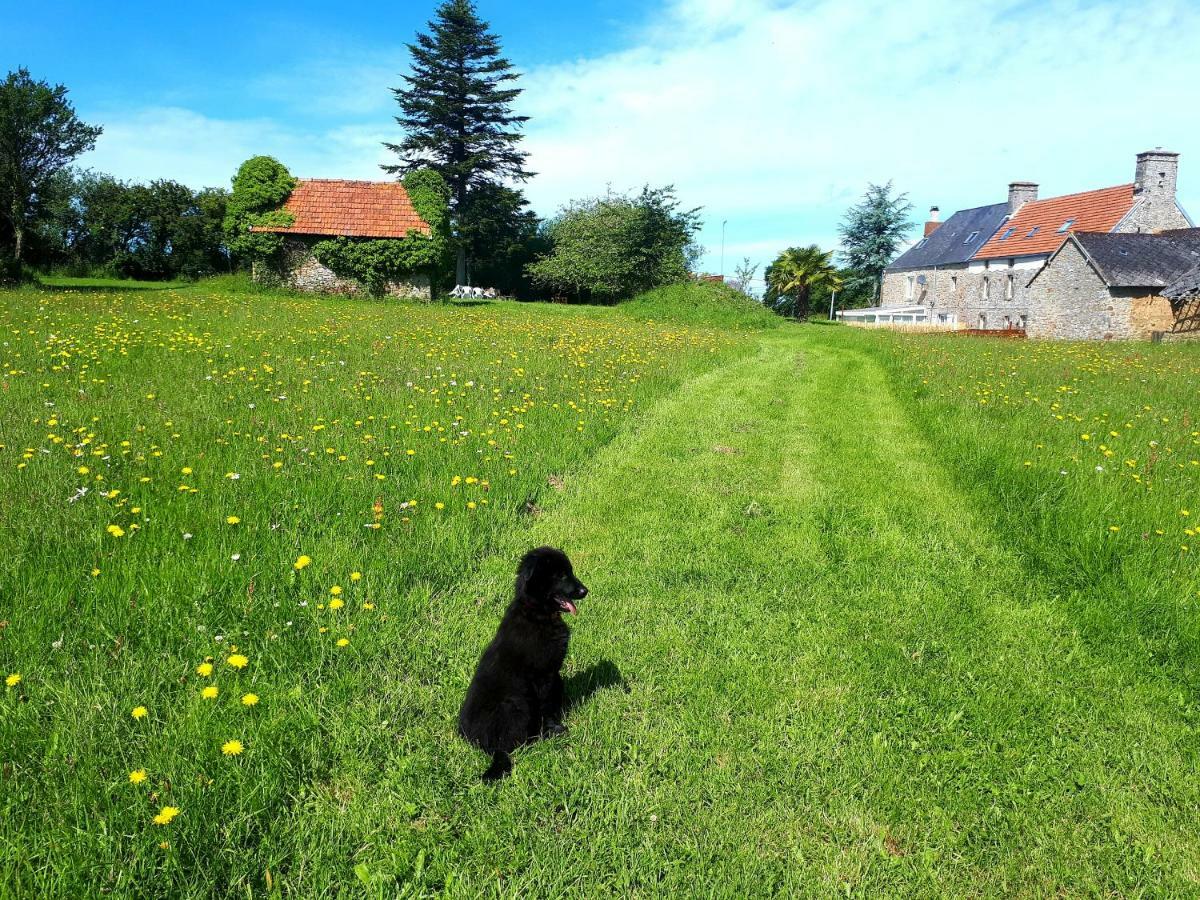 Besneville L' Anpeg, Gite Dans Le Cotentin Jusqu'A 8 Personnes מראה חיצוני תמונה
