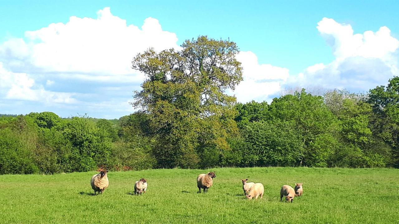 Besneville L' Anpeg, Gite Dans Le Cotentin Jusqu'A 8 Personnes מראה חיצוני תמונה